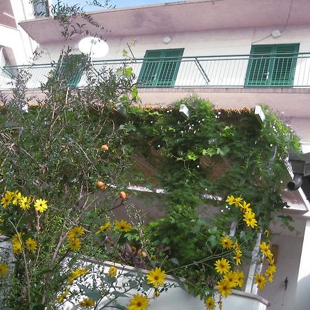 Apartman Sulic Podgora Ngoại thất bức ảnh
