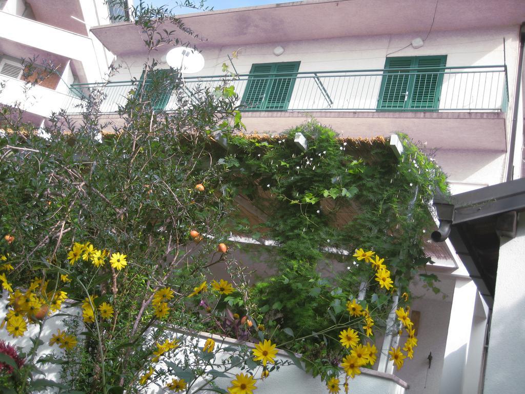 Apartman Sulic Podgora Ngoại thất bức ảnh